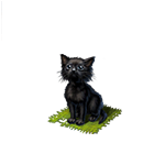 Материал Черный котенок игры Клондайк