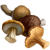 Материал Сушёные грибы игры Клондайк