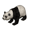 Панда игры Клондайк