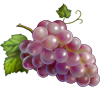 Розовый виноград игры Клондайк