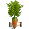 Набор Морковный мультибокс игры Клондайк