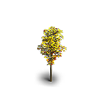 Желтое дерево природа игры Клондайк пропавшая экспедиция