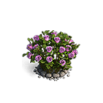 Пурпурные розы игры Клондайк