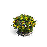 Желтые розы игры Клондайк
