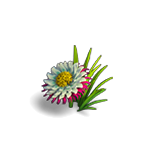 Болотный цветок игры Клондайк
