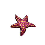 Морская звезда элемент коллекции игры Клондайк