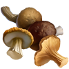 Материал Сушёные грибы игры Клондайк