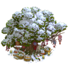 Священное дерево игры Клондайк