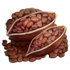 Материал Какао-бобы игры Клондайк