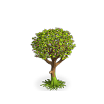 Земляничное дерево игры Клондайк