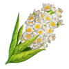 Материал Белые цветы игры Клондайк