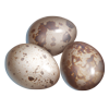 Материал Птичьи яйца игры Клондайк