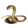 Змея игры Клондайк
