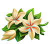 Материал Душистые цветы игры Клондайк