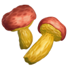 Материал Вонючие грибы игры Клондайк
