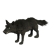 Чёрный волк игры Клондайк