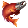 Красная рыба игры Клондайк