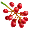 Красные ягоды игры Клондайк