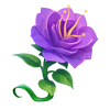 Фиолетовый цветок игры Клондайк