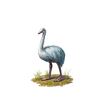 Белый страус игры Клондайк